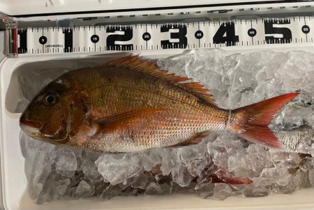 鯛ラバ、オフショアジギング