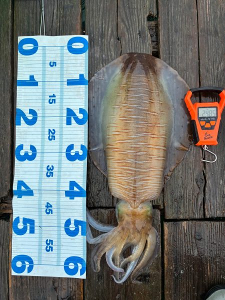 自己記録更新2485g‼&#…