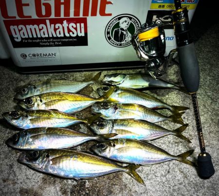 アジング>* ))))><…