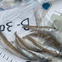 ダイワ2025キストーナメント香川