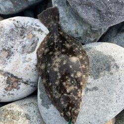 久しぶりのスズキさん