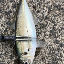 タイミング良く(*’▽’*)