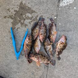 ガシリング好調でした！