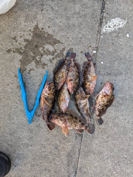 ガシリング好調でした！