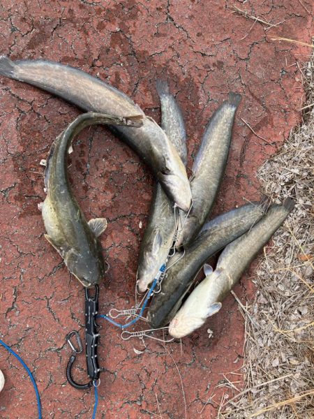 雨の後は良く釣れる