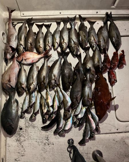 初のエサ釣り(イサキ)