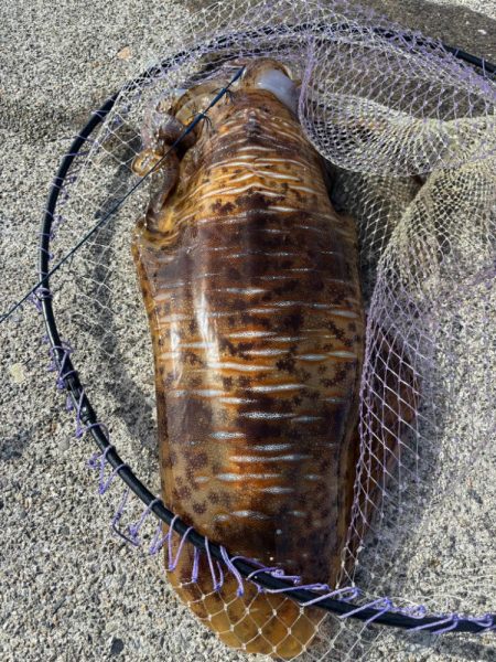 3キロオーバー？