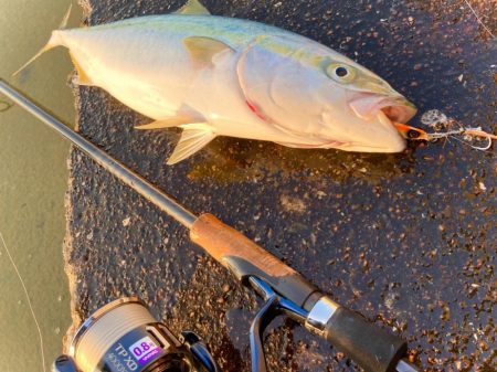 マキマキのボトムからの巻き上げにゃ！