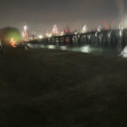 東二見メバル18