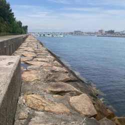 シロギス釣行！