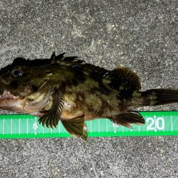 ライトワインド