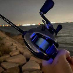 淀川ブリームゲーム