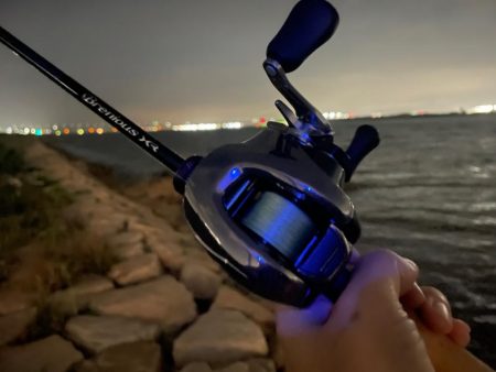 淀川ブリームゲーム