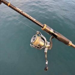 朝マズメのエギング