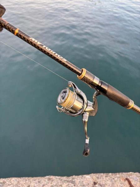 朝マズメのエギング