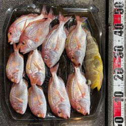 今シーズン初のボート釣り