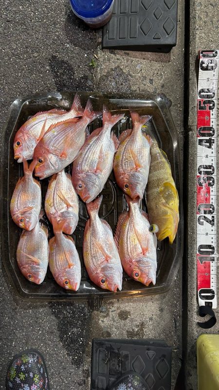 今シーズン初のボート釣り