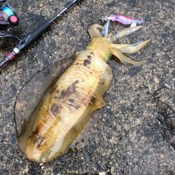 オッス、自己記録更新！