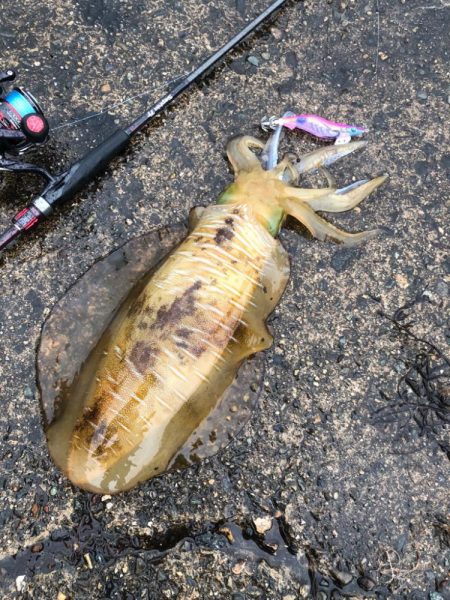 オッス、自己記録更新！