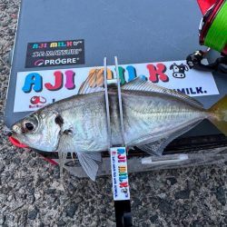 今年はの夫婦での遠征!!