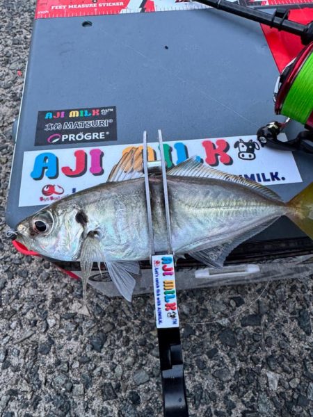 今年はの夫婦での遠征!!