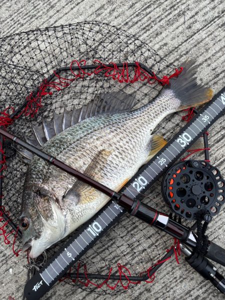 ヘチってきました