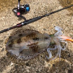 まさかのサイトでキロキャッチ