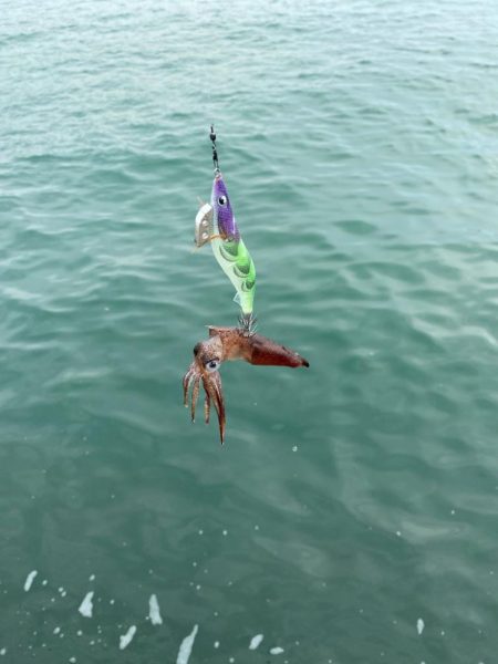 エギングからのアジング