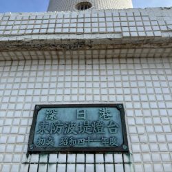 シロギス釣り🎣