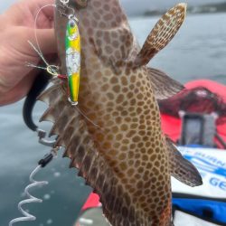 サップフィッシング