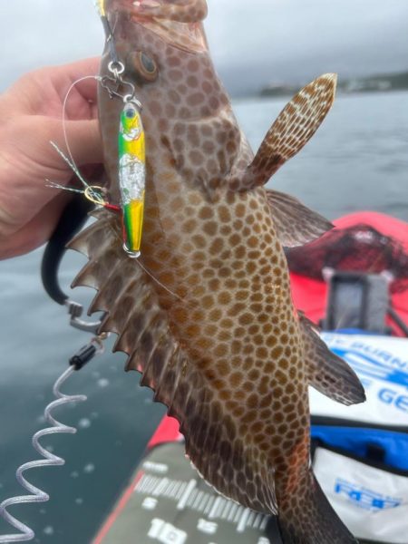 サップフィッシング