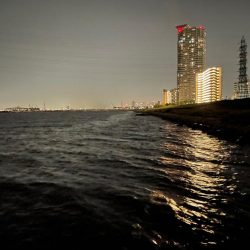 淀川ブリームゲーム