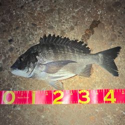 マニックに食ってきた！