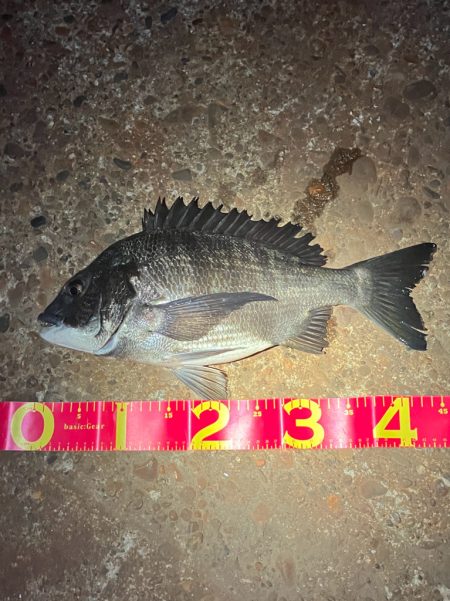 マニックに食ってきた！