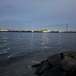 GWはどうでしょう？