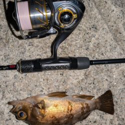 ゴールデンウィーク