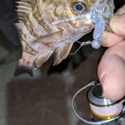 数は出るけど···