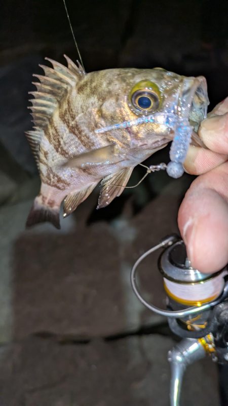 数は出るけど···