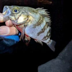 絶好のタイミング