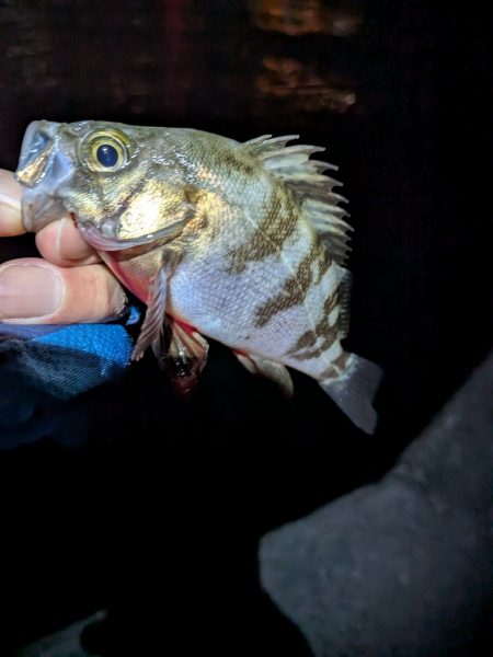 絶好のタイミング