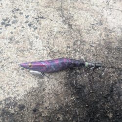 爆風でもなんとか1杯