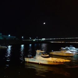 フロートアジング