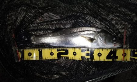 バレるバレる…