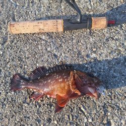 徳島ラスト釣行