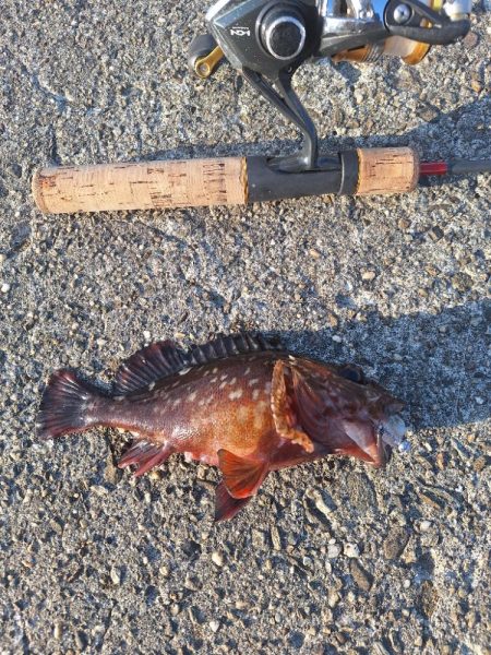 徳島ラスト釣行