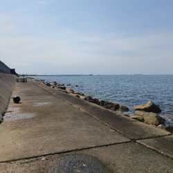 苅屋海岸のキス釣り