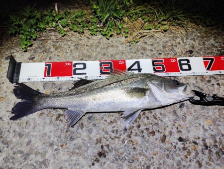 11カ月ぶりの60UP💦