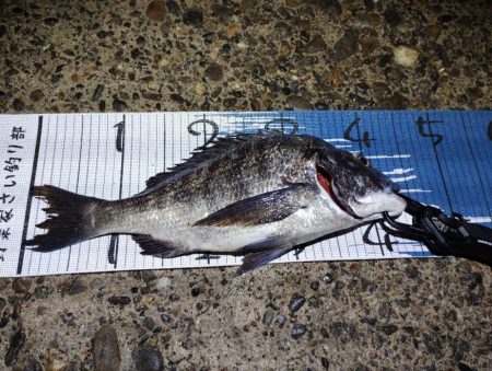 下げ止まり前が時合い。