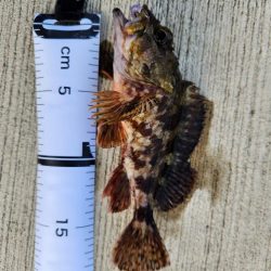 久しぶりの投稿