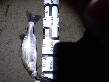 雨の後にようやく…